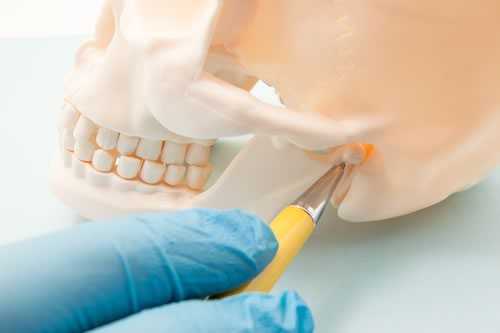 tmj – Temporomandibular joint TMJ questions and answers